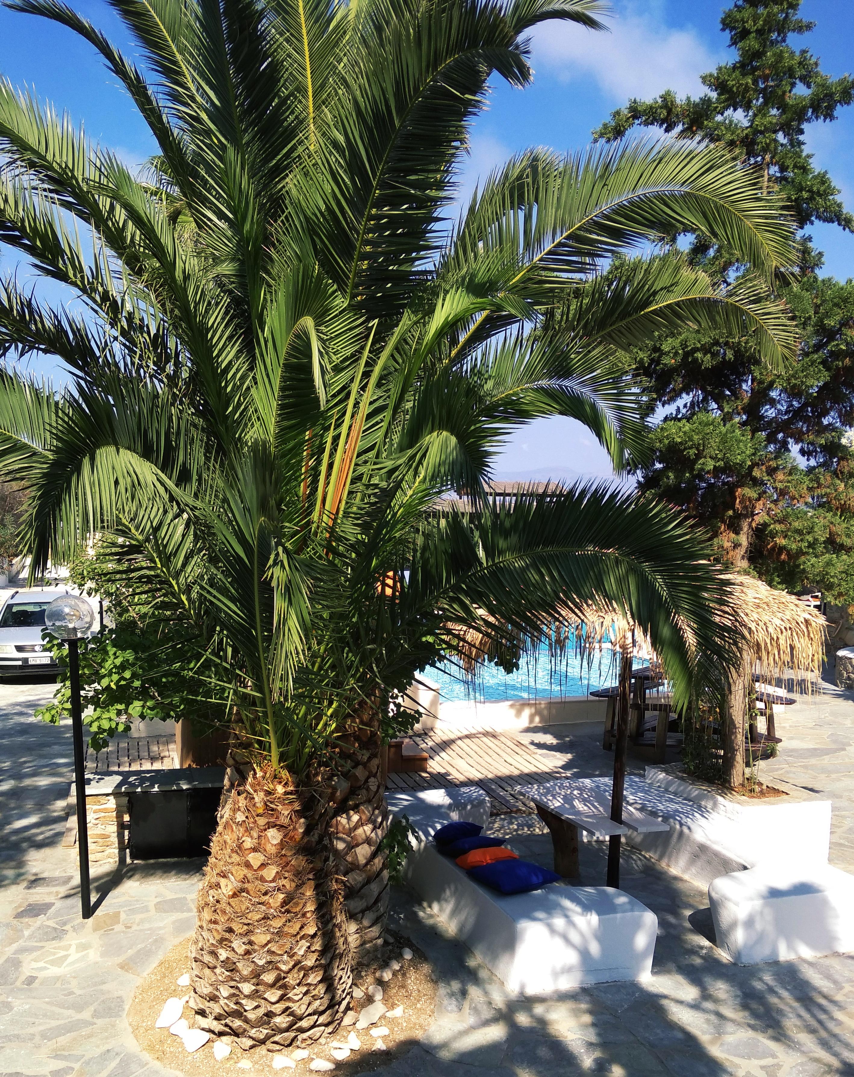 Naxos Summerland Resort Kastrákion Exterior foto